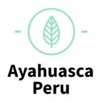 ayahuascaiquitos4